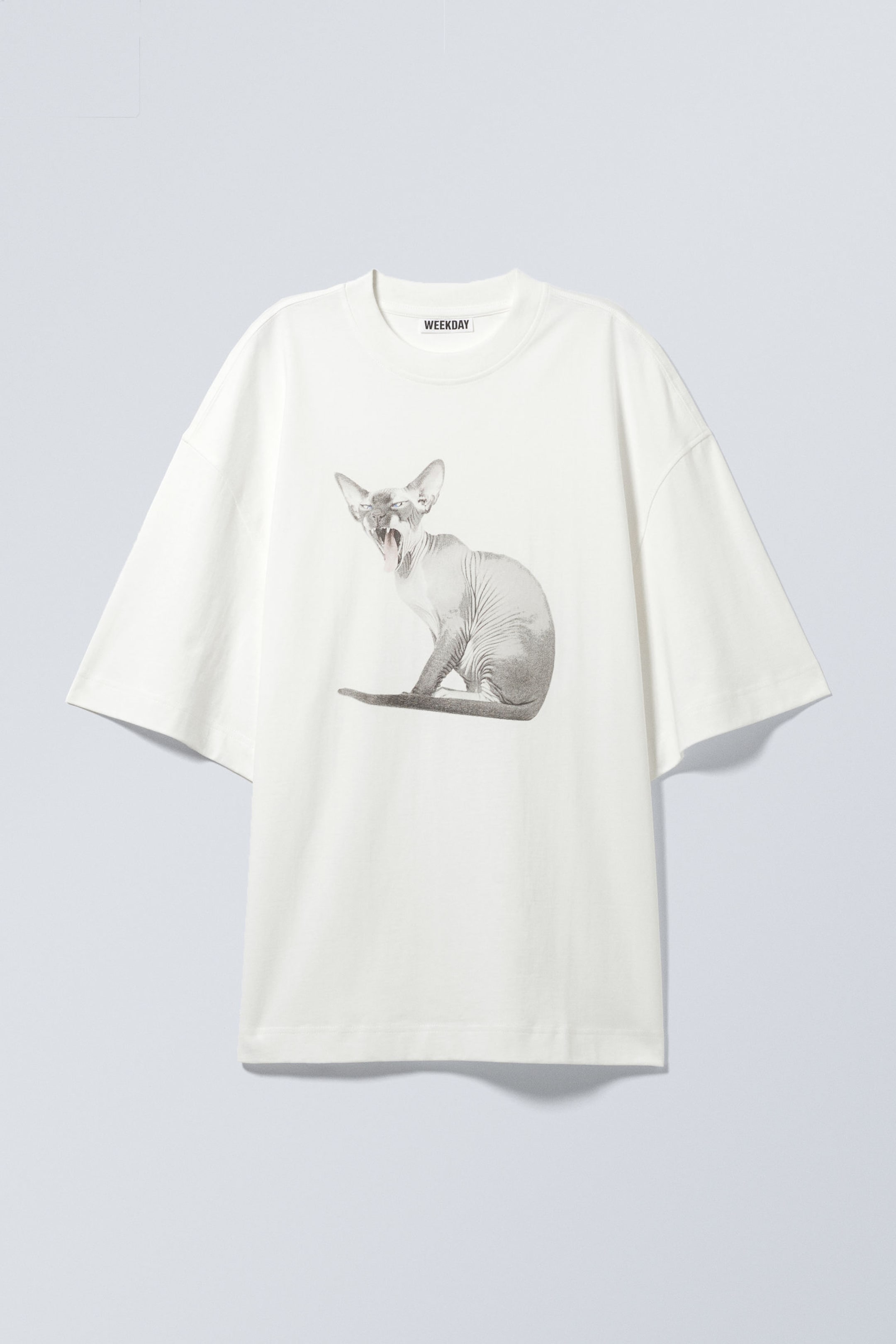 #F0EEED - Weites Oversize-T-Shirt mit Print - 1