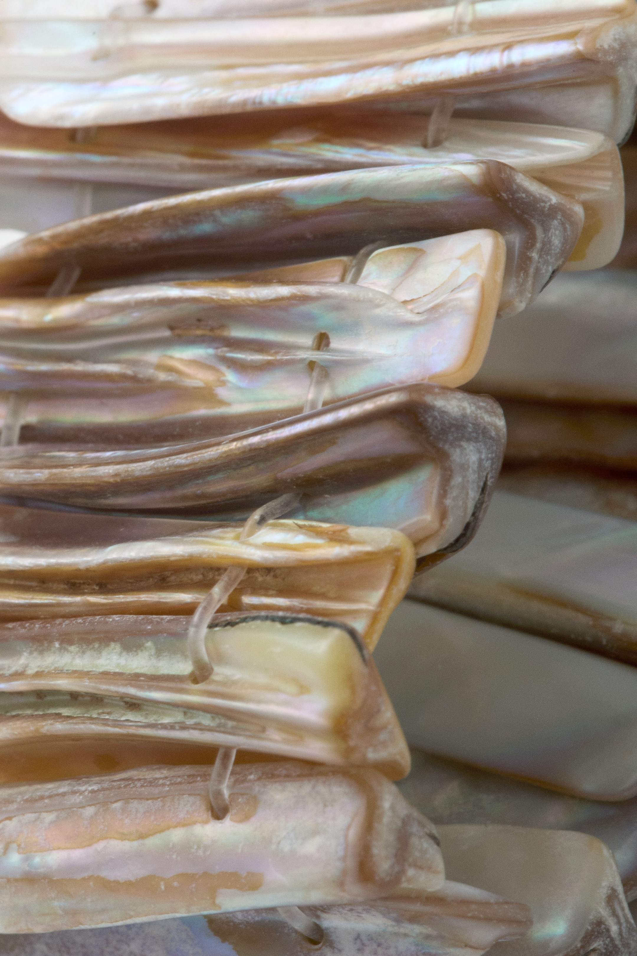 Multicoloured shells - Shell Bracelet - 2