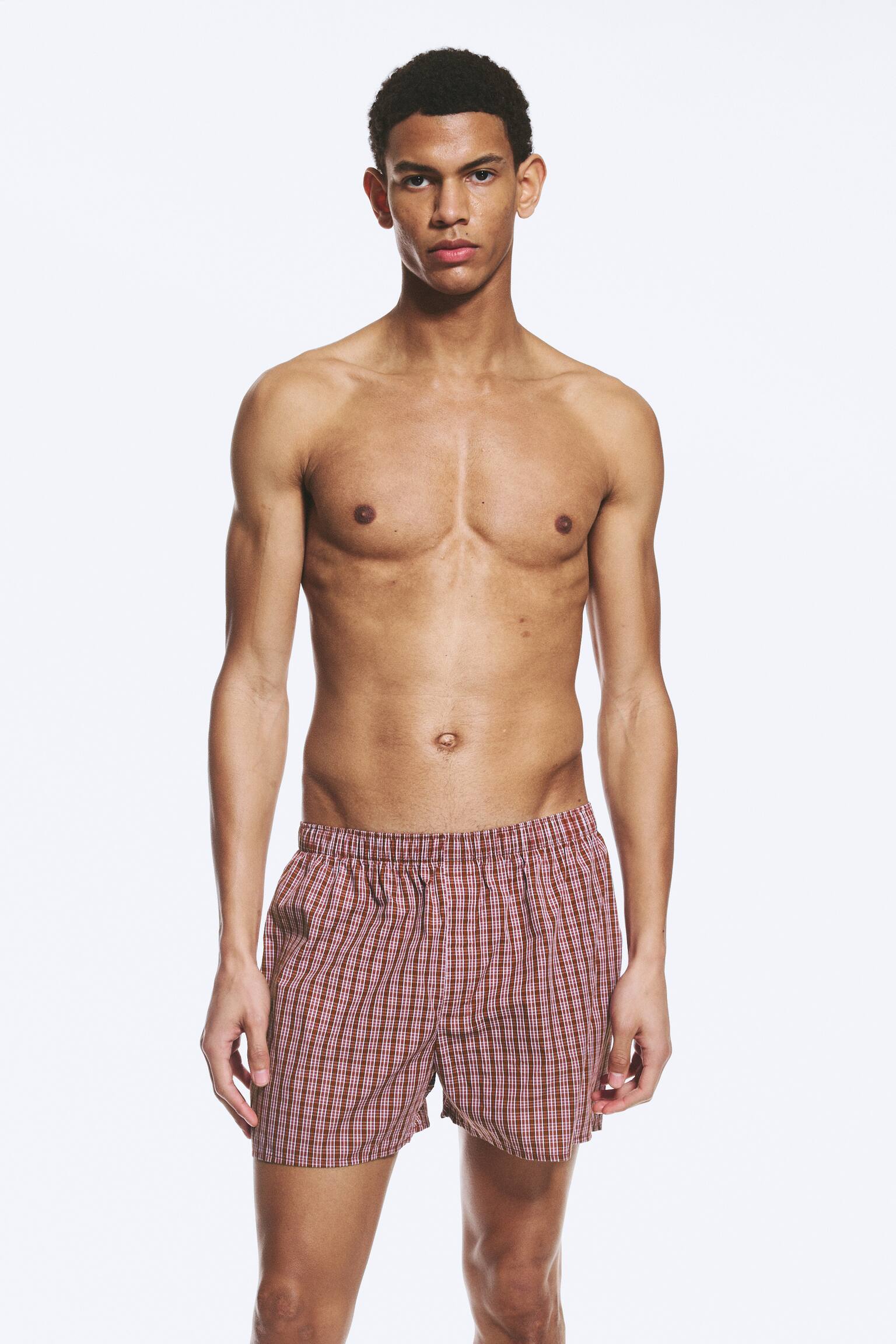 2-pack Boxer Shorts - Purple Checks Blue Checks/Καρό Καφέ & Ριγέ Λευκό/White, Blue Stripes - 3