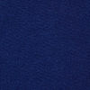 swatch-Blauw