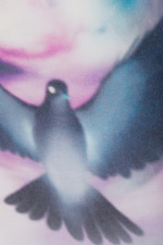 White - Blue Dove - Oversized Graphic Printed T-shirt - 2