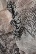 Beige/Grey - Snakeskin Print - Slim Gathered Long-Sleeved Mesh Cardigan - 4