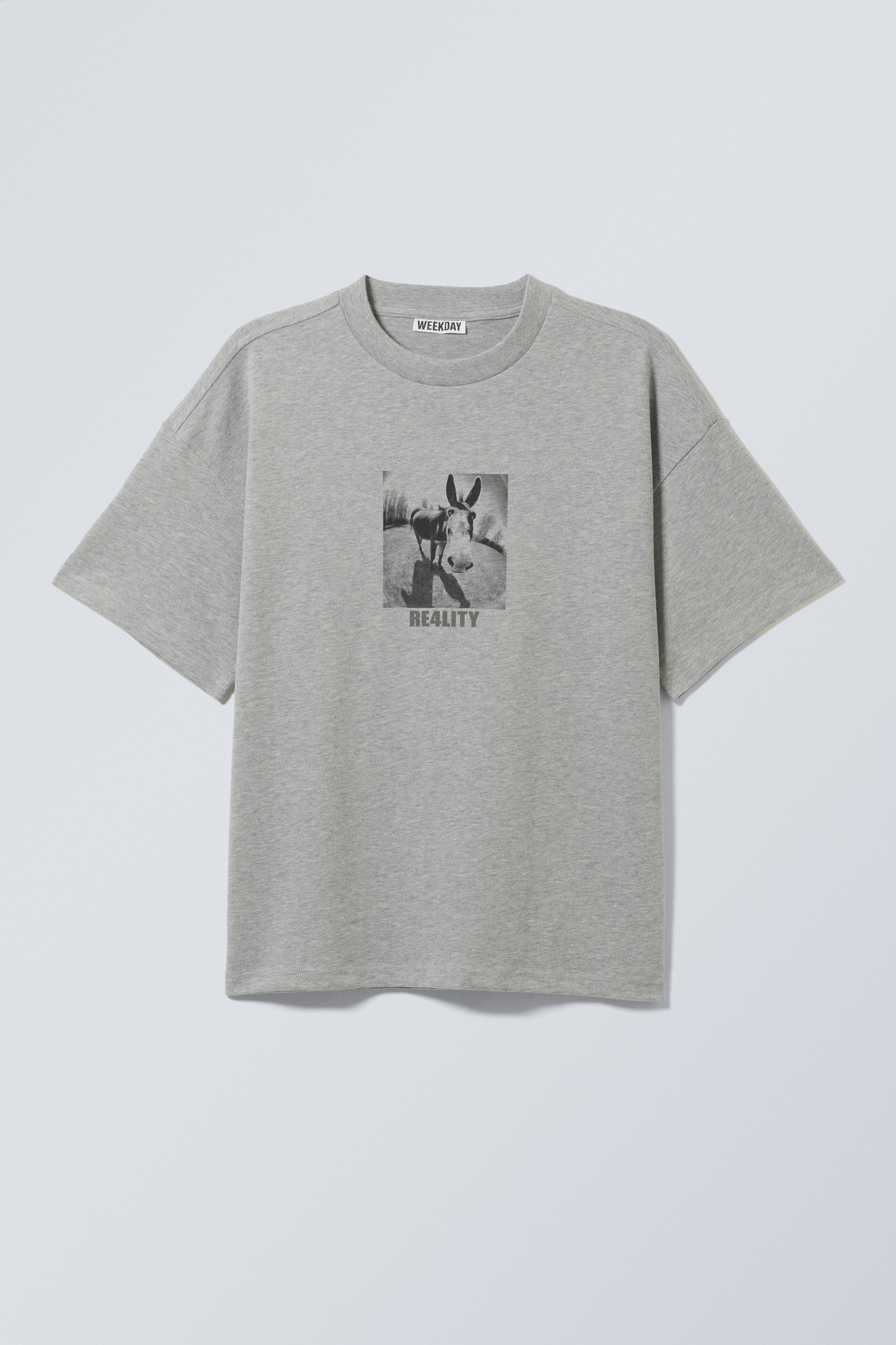 View larger image: Great Boxy Printed Graphic Tee - Grey - Donkey Reality - Men | H&M GB 1