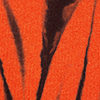 swatch-Orange