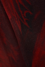 Imprimé dragon rouge foncé - Haut ajusté à manches longues imprimé - 1