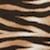 swatch-Tiger Striped