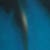 swatch-Blue