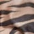 swatch-Tiger-striped