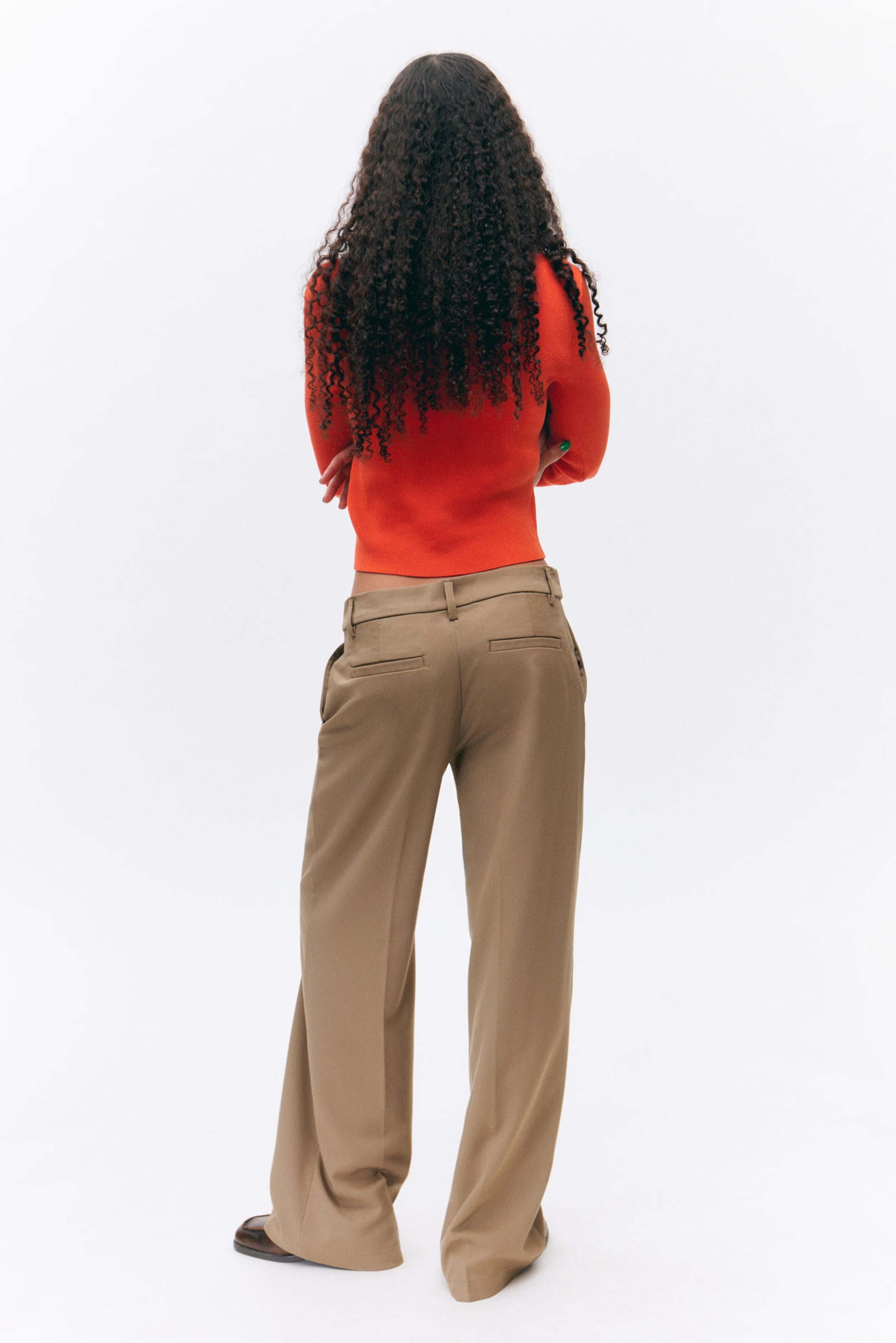 Dusty Mole - Low Waisted Pleated Suiting Trousers - 2
