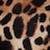 swatch-Brown