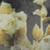 swatch-Dark Grey - Dirty Floral