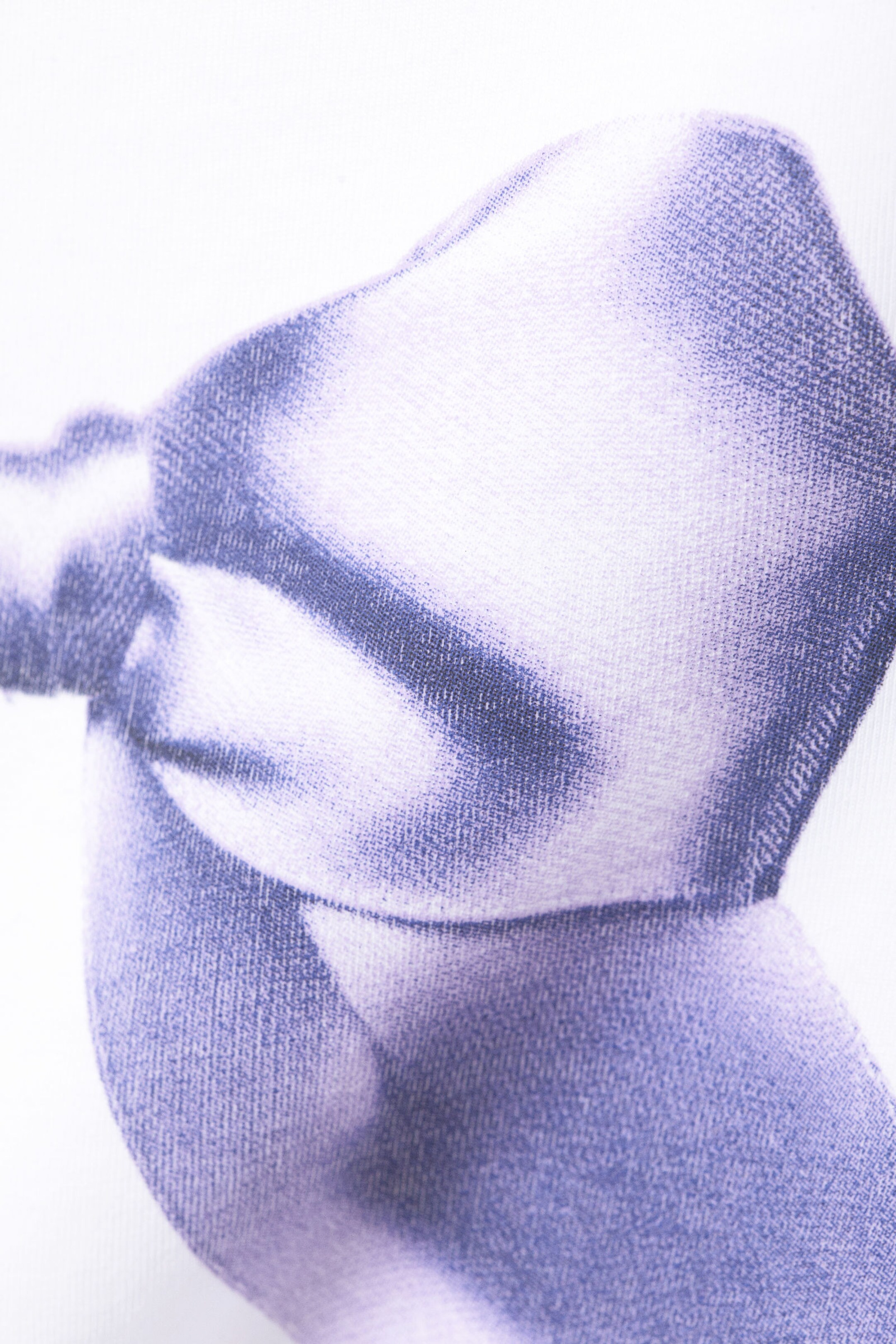 White - Purple Bow - Cropped t-shirt - 4