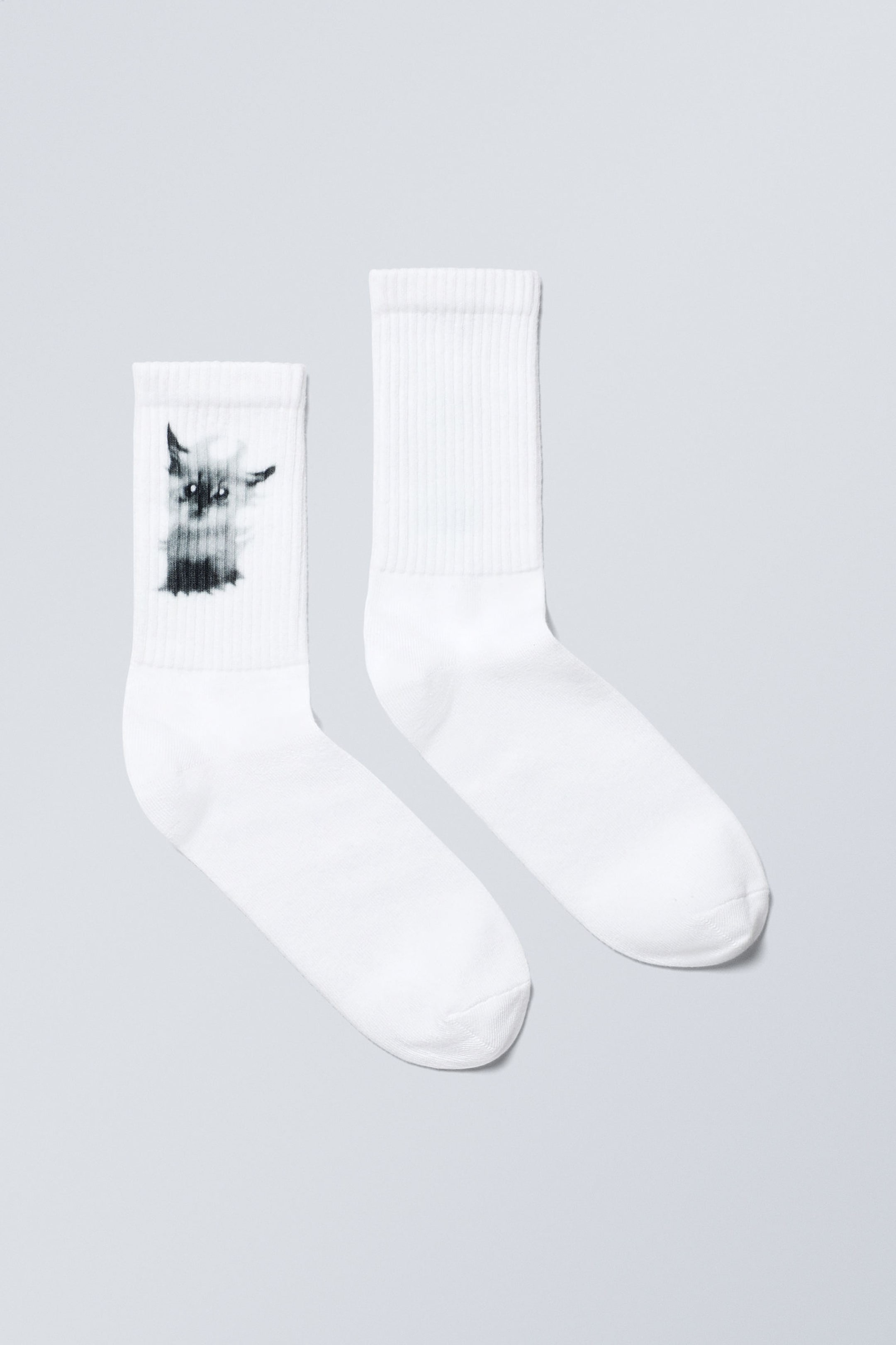 Kitty Cat - Bedruckte Sportsocken - 0