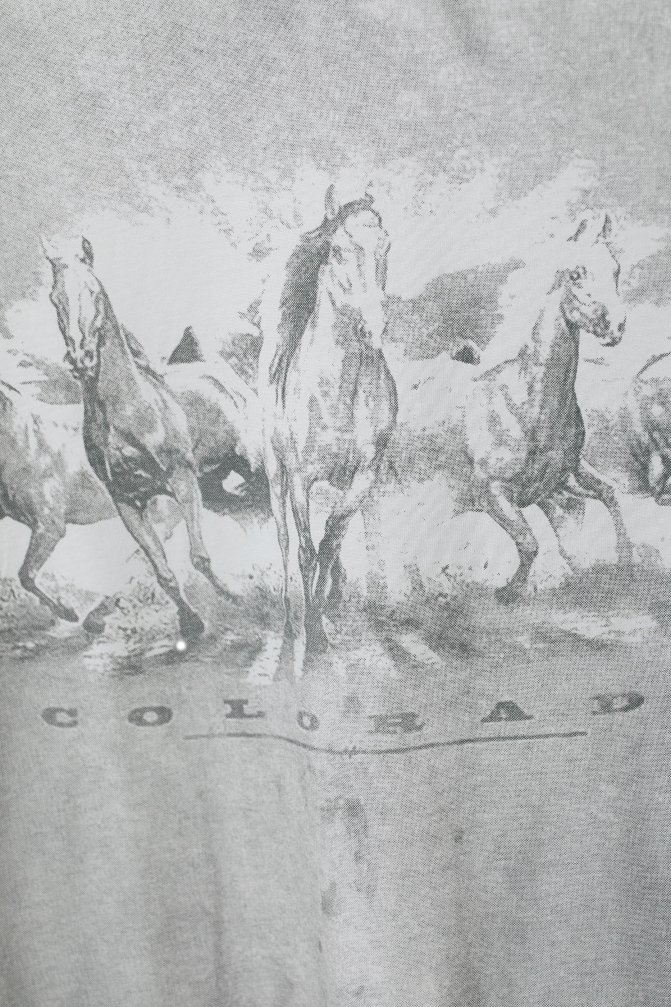 Trompe L'oeil Colorado Horses - Relaxed Graphic Long Sleeve Top - 2