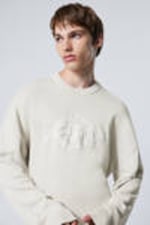 Light Dusty Mole - Oversized Knitted Graphic Sweater - 0