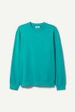 Turquoise - Standard Sweatshirt - 0